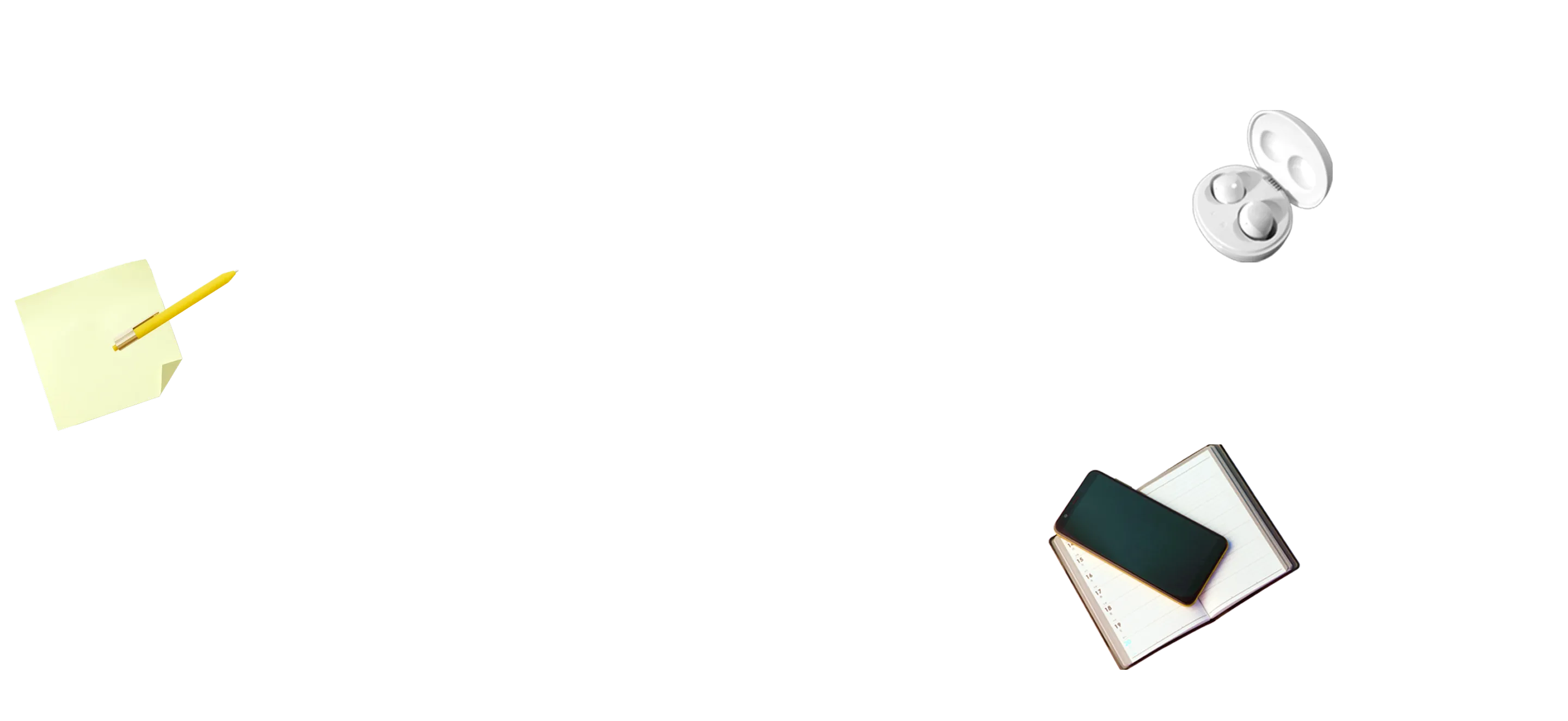 分野の特徴