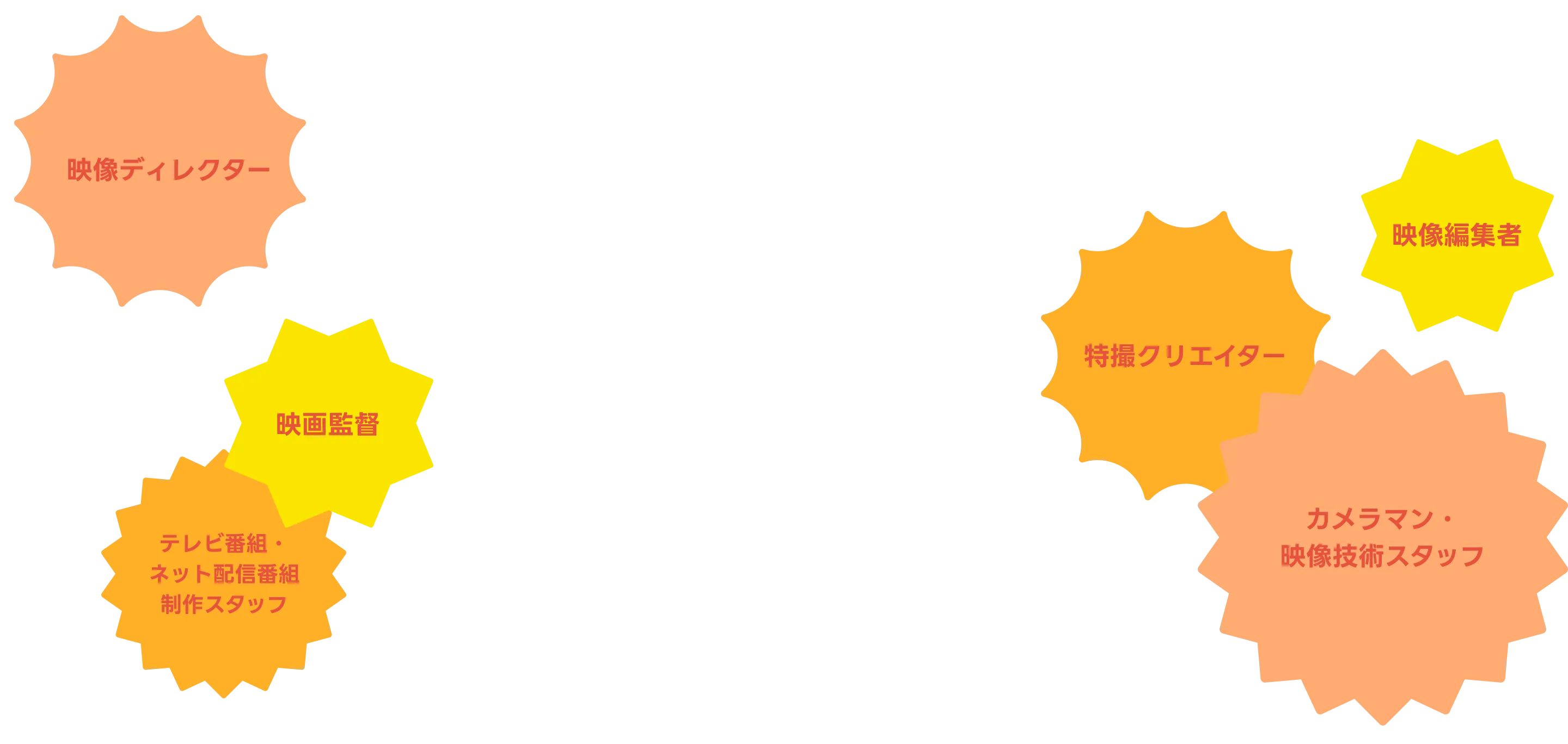 分野の特徴